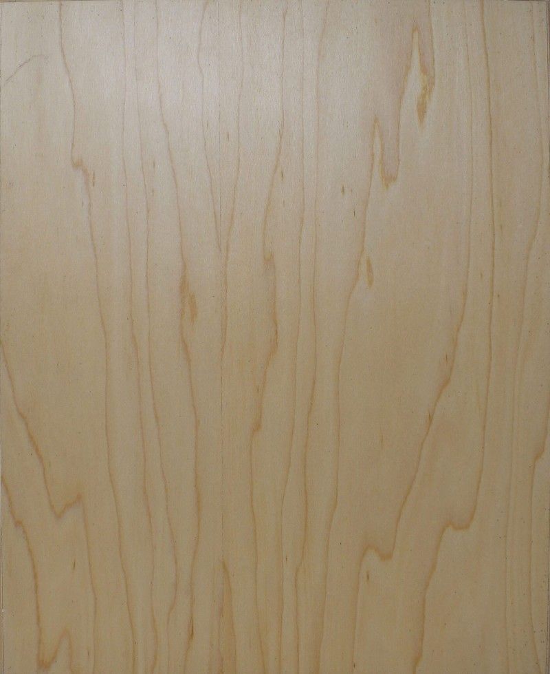 A close up of a piece of maple wood.