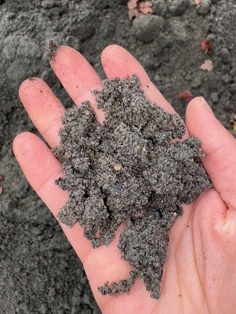 Hand holding a clump of dark, grainy soil.