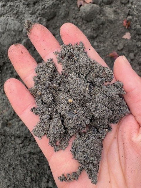 Handful of dark, gritty soil, held in open palm.