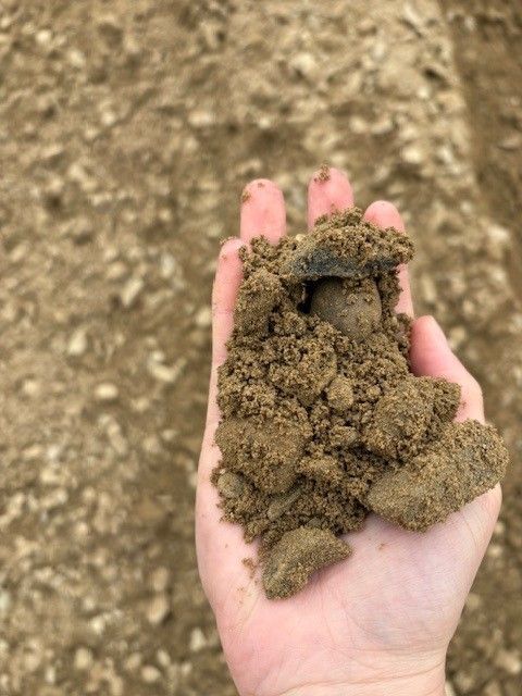 Hand holding a clump of dry brown dirt over a soil-covered ground background
