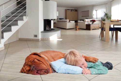 Child sleeping with dog on the floor