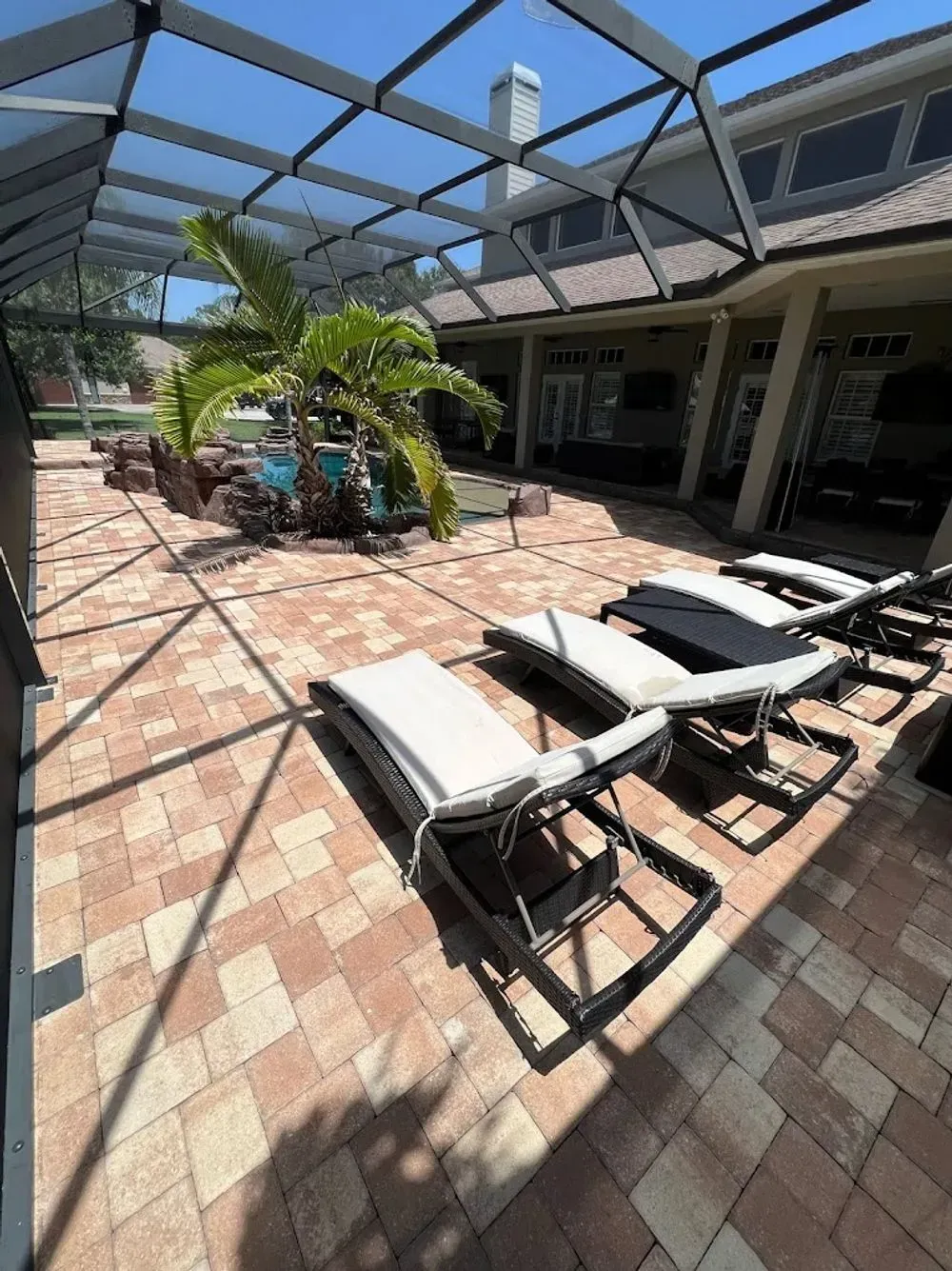 Outdoor patio with lounge chairs under a metal canopy beside a building and small palm tree