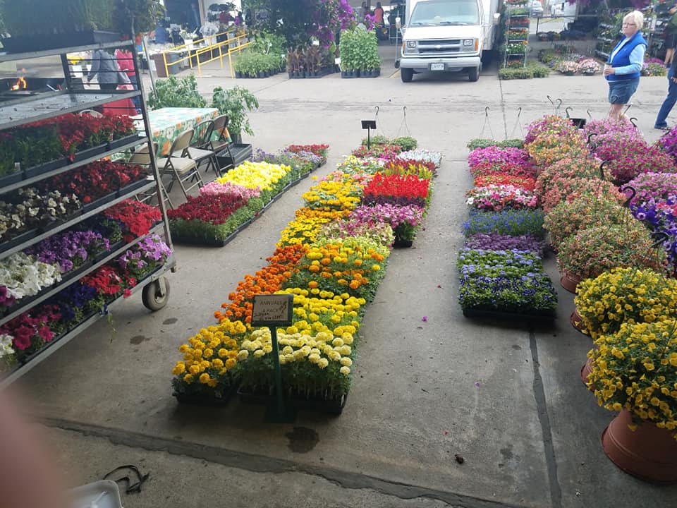 Flowers