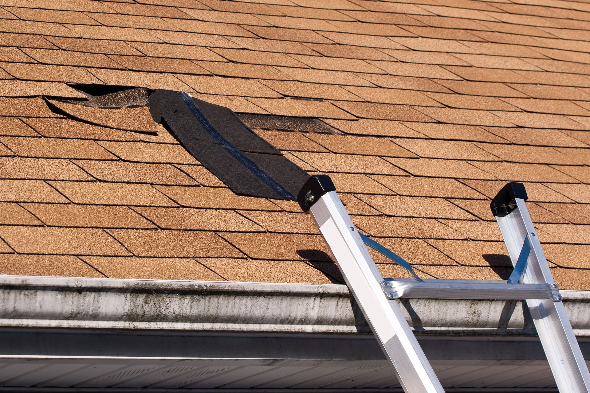 Ladder leaning against a shingled roof beside a gutter and roof edge