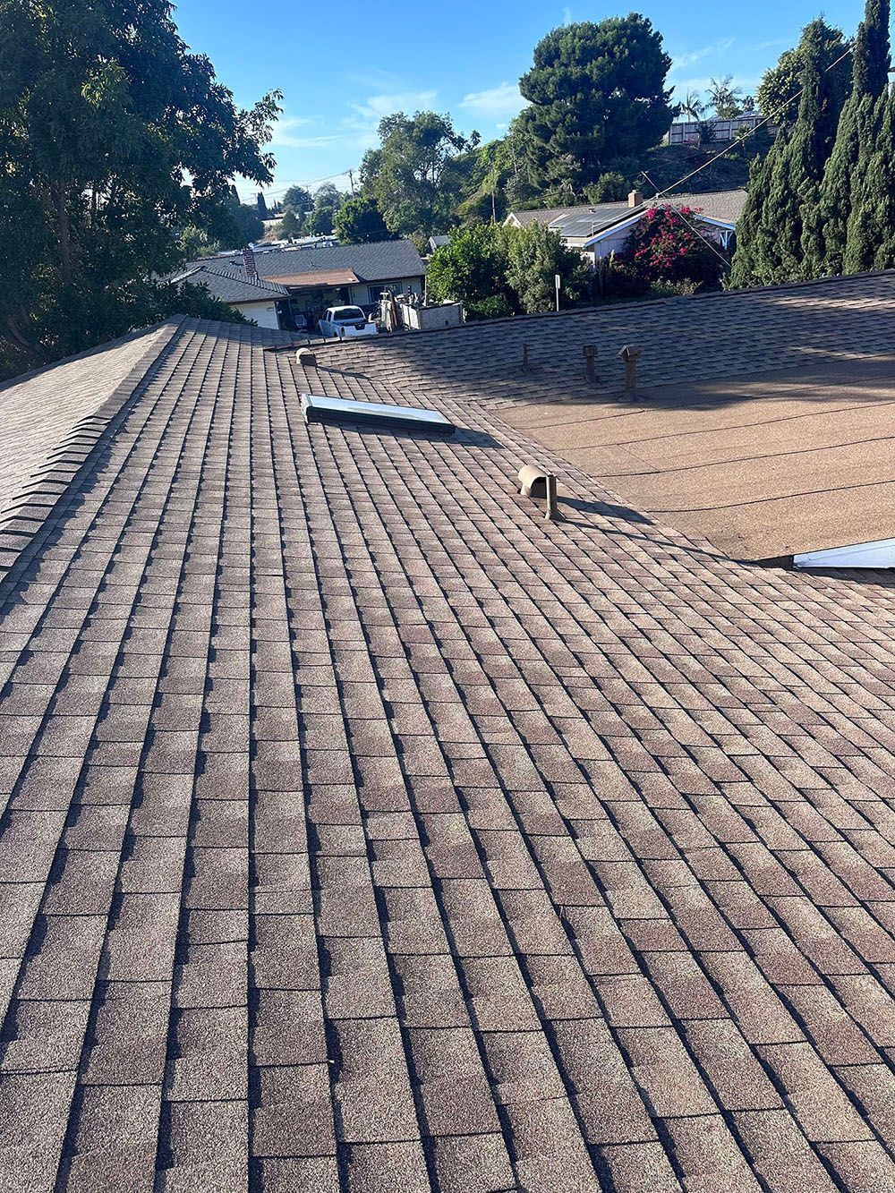 Shingled roof with skylights and surrounding trees under a clear blue sky