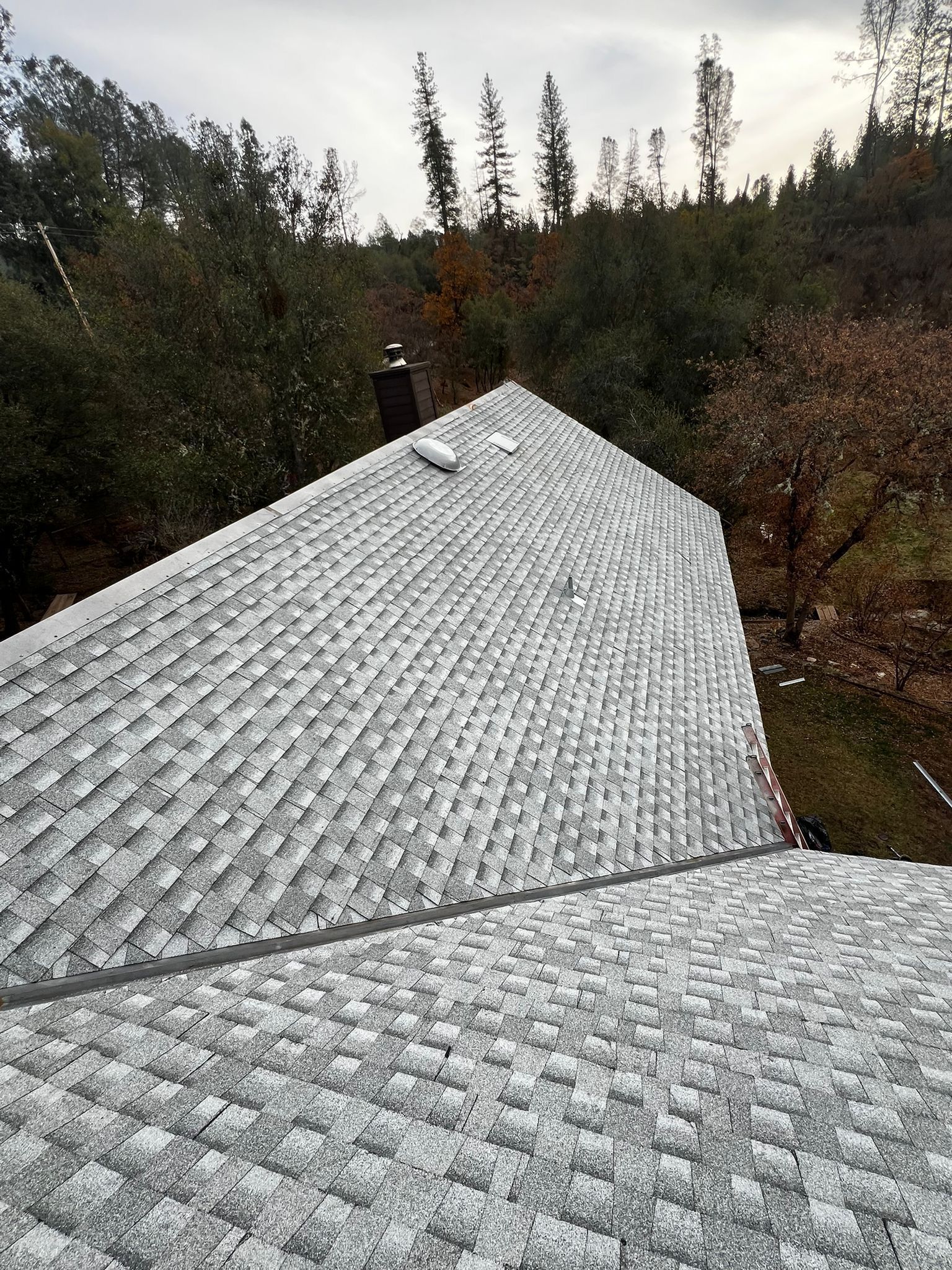 Gray shingled roof in the foreground, with a chimney and forested hillside in the background.