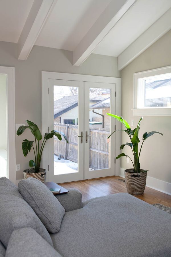 A living room with a couch and two potted plants.