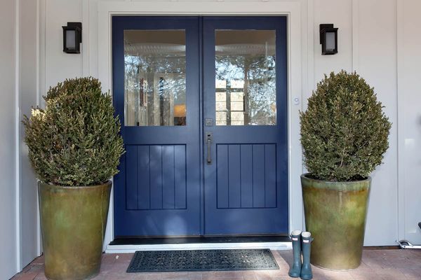 A blue door with two potted plants in front of it.