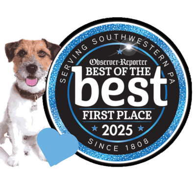 Dog beside Best of the Best First Place 2025 award badge for Southwest Virginia.