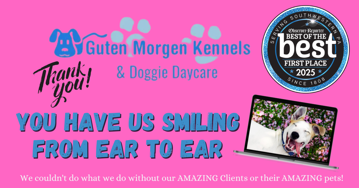 Pink thank-you graphic for Guten Morgen Kennels & Doggie Daycare with the You have us smiling from ear to ear message and badge.