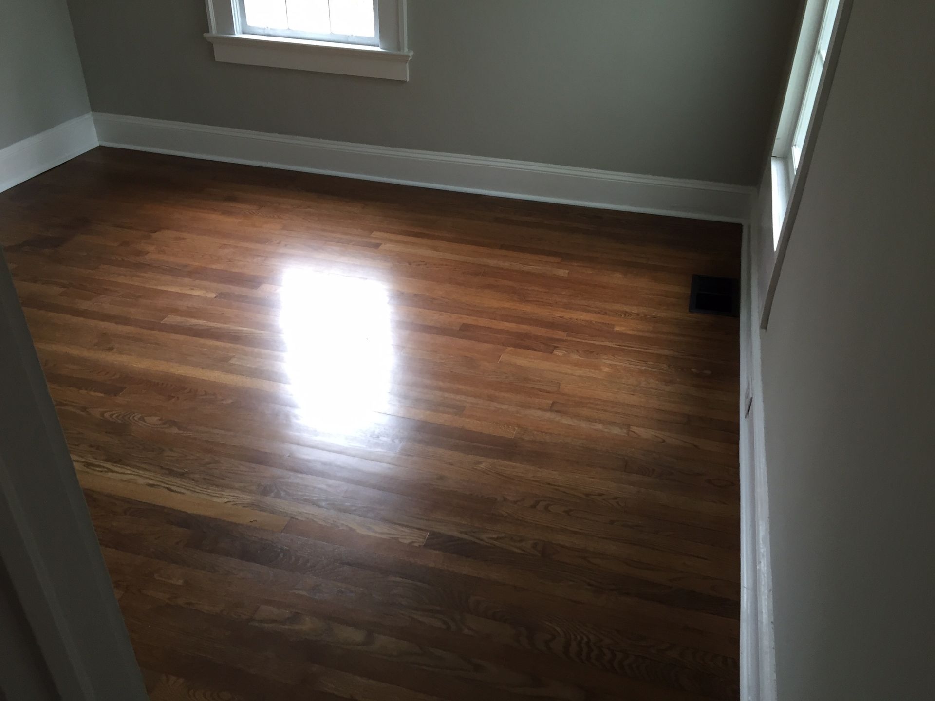 Empty room with glossy hardwood floor, gray walls, and two windows letting in daylight