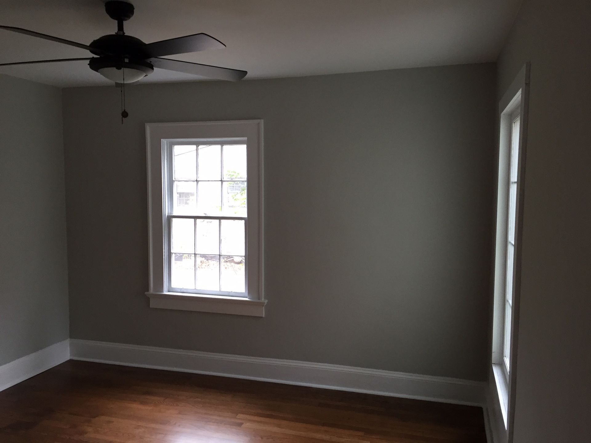 Empty room with gray walls, hardwood floors, white trim, two windows, and a ceiling fan.
