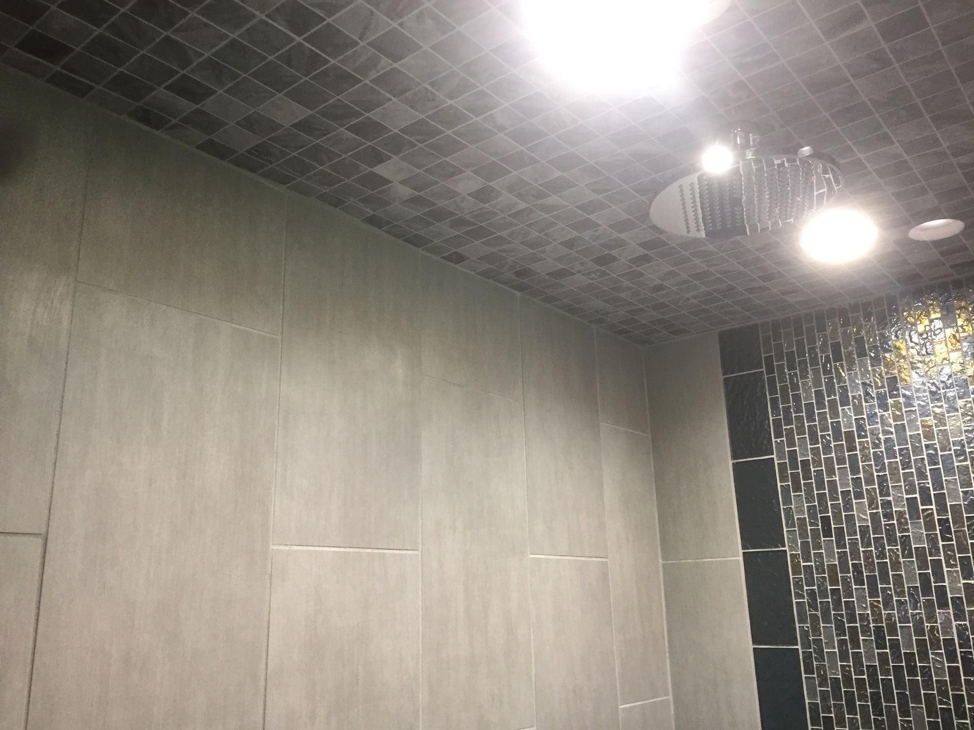 Modern tiled shower with gray walls, black ceiling, and overhead lights