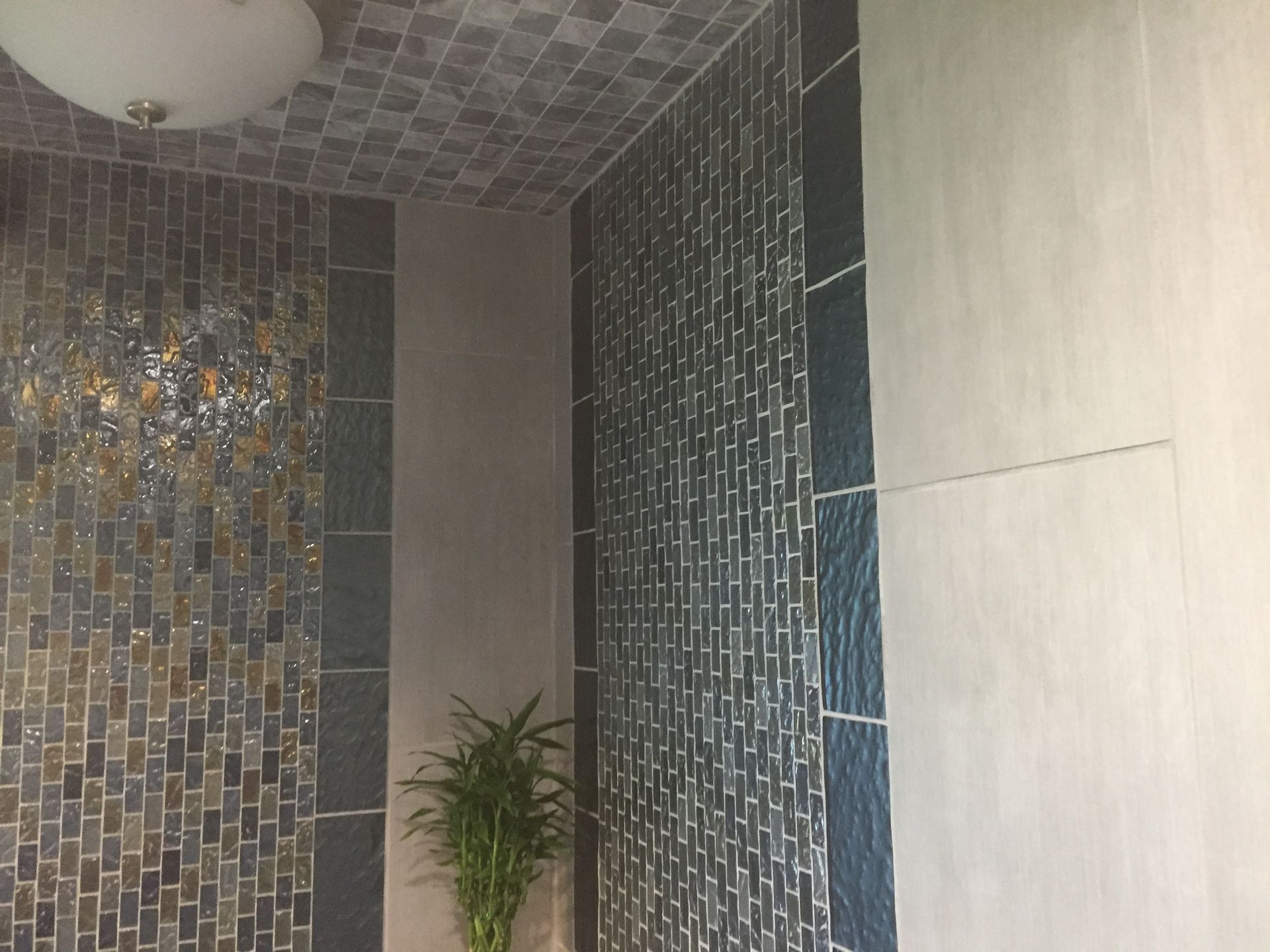 Modern lobby with mosaic tile walls, beige paneling, and a potted plant in the corner
