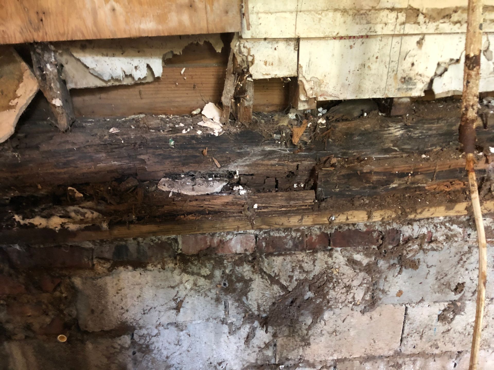 Rotting wooden wall with severe water damage, mold, and crumbling plaster near the floor