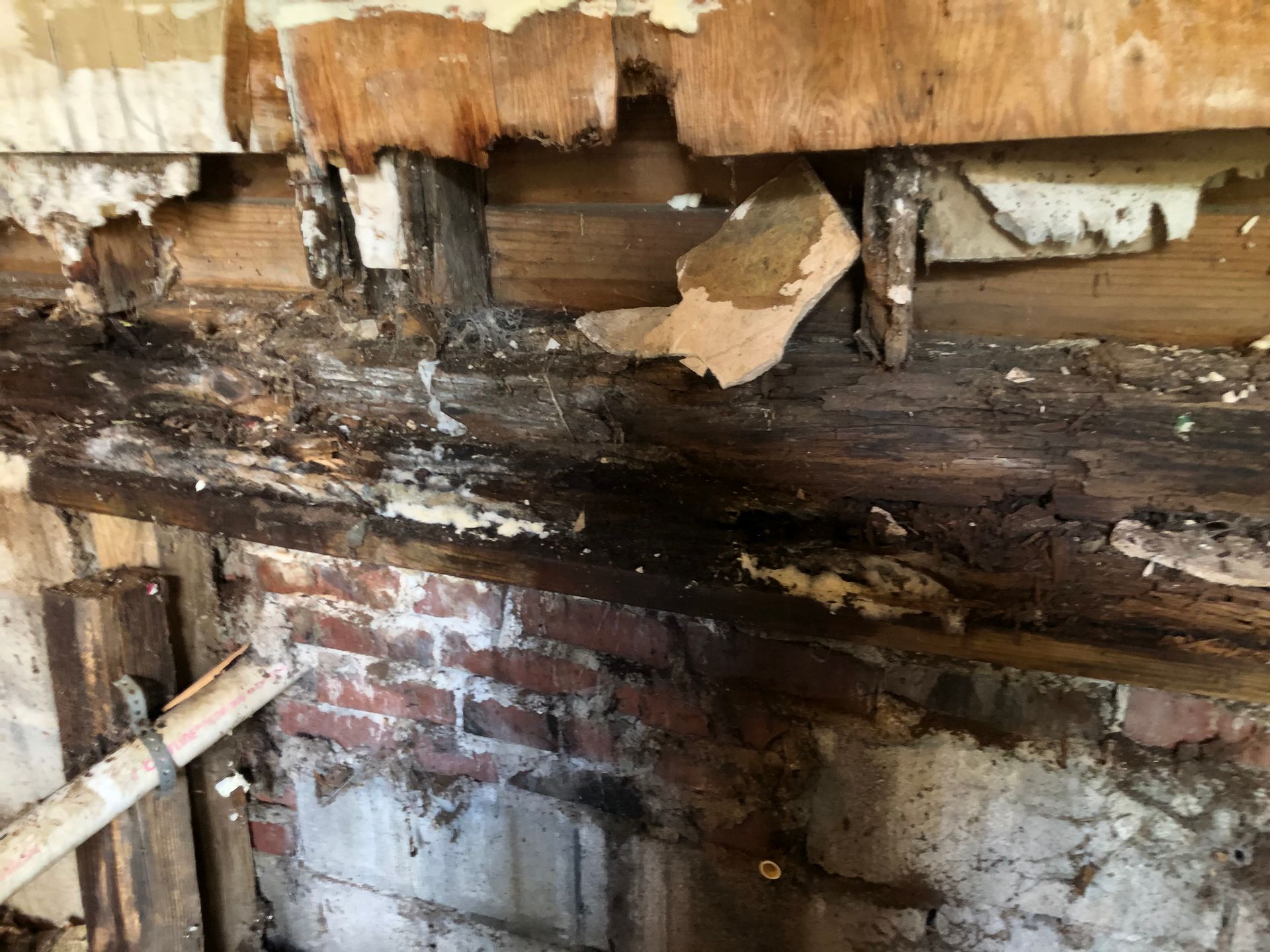 Severely rotted wall framing and exposed brick with water damage and black mold stains