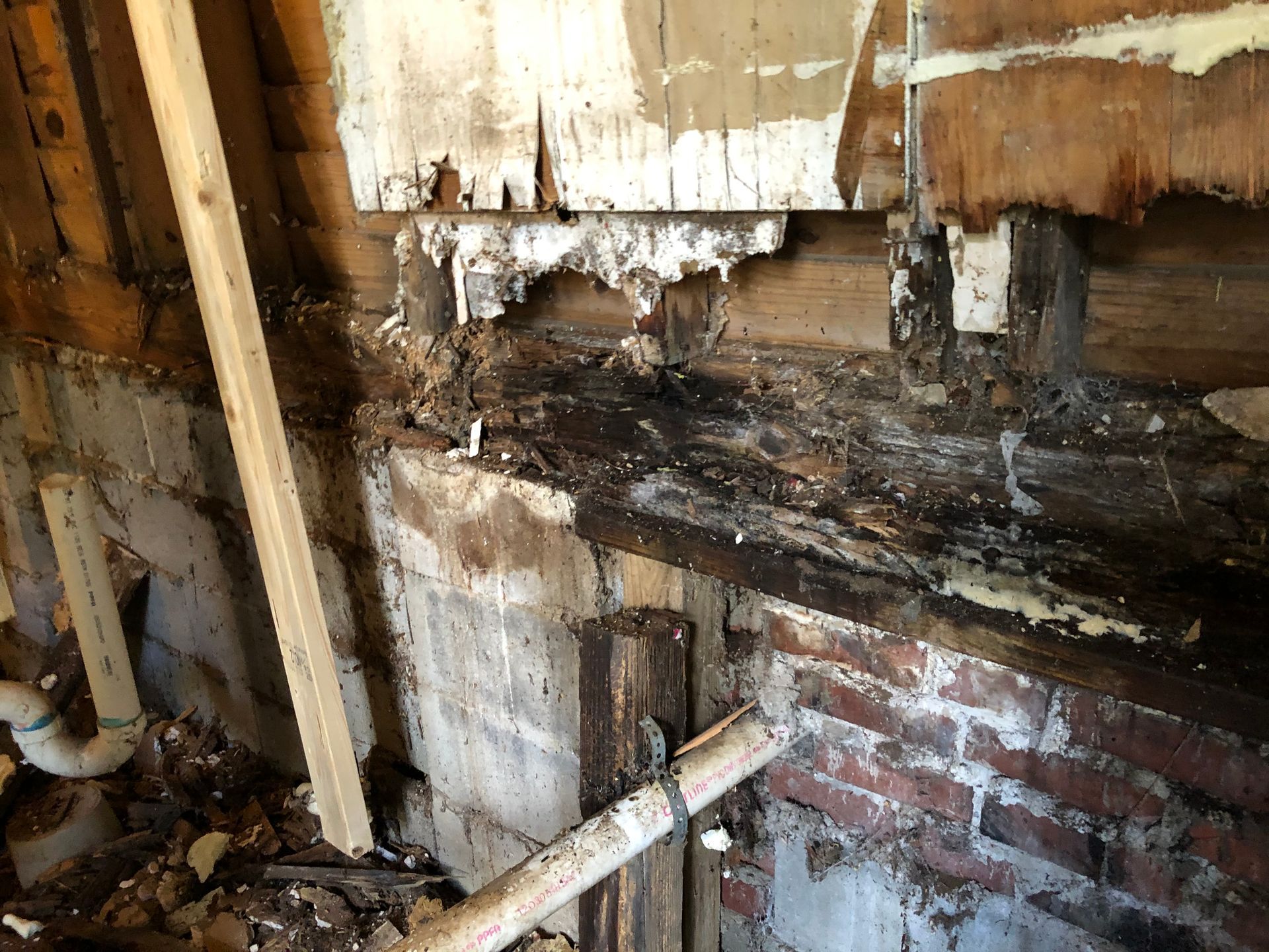 Water-damaged interior wall with mold, peeling paint, and exposed brick and pipes