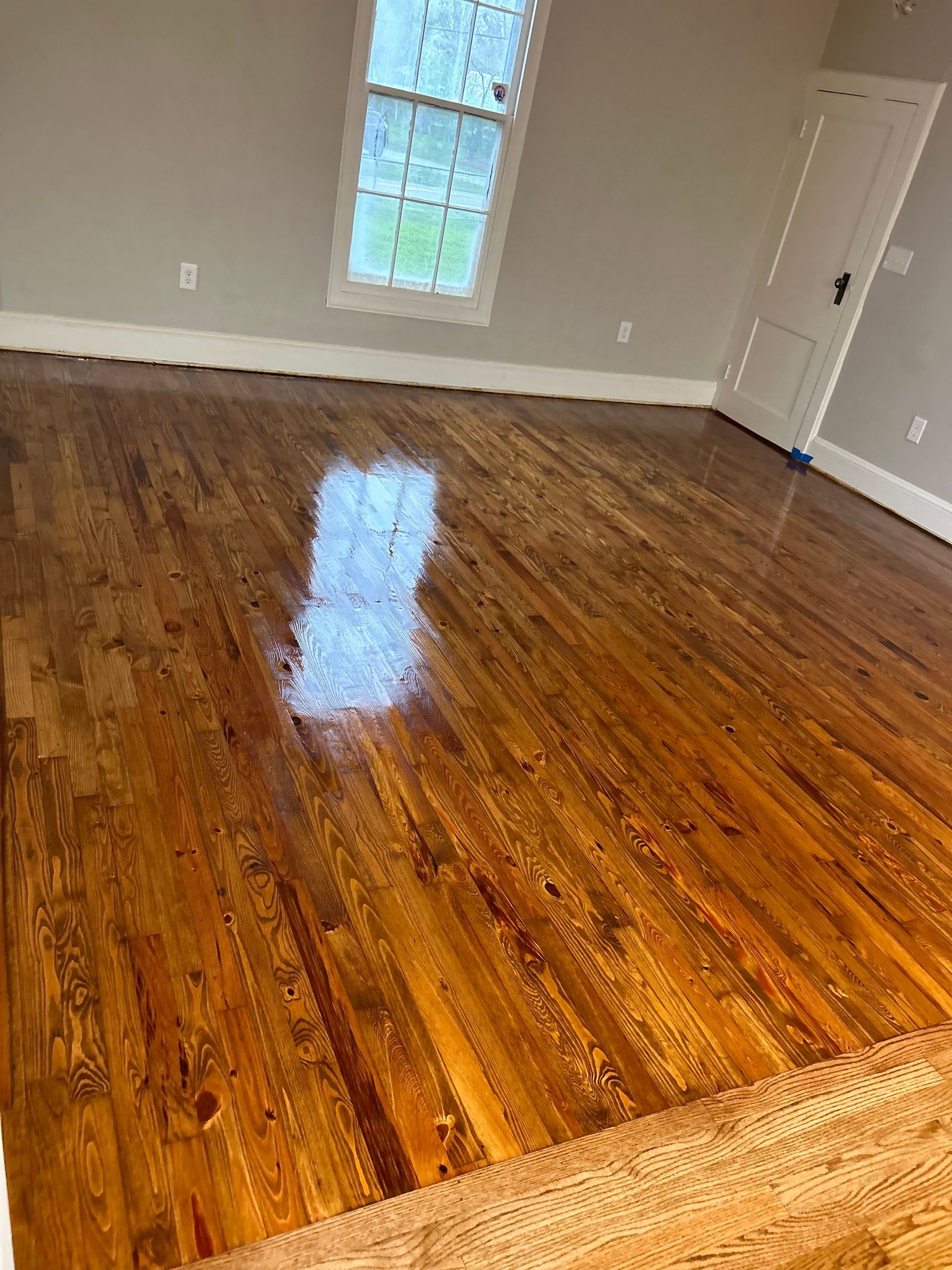 Empty room with glossy hardwood floors, gray walls, and a window letting in daylight.