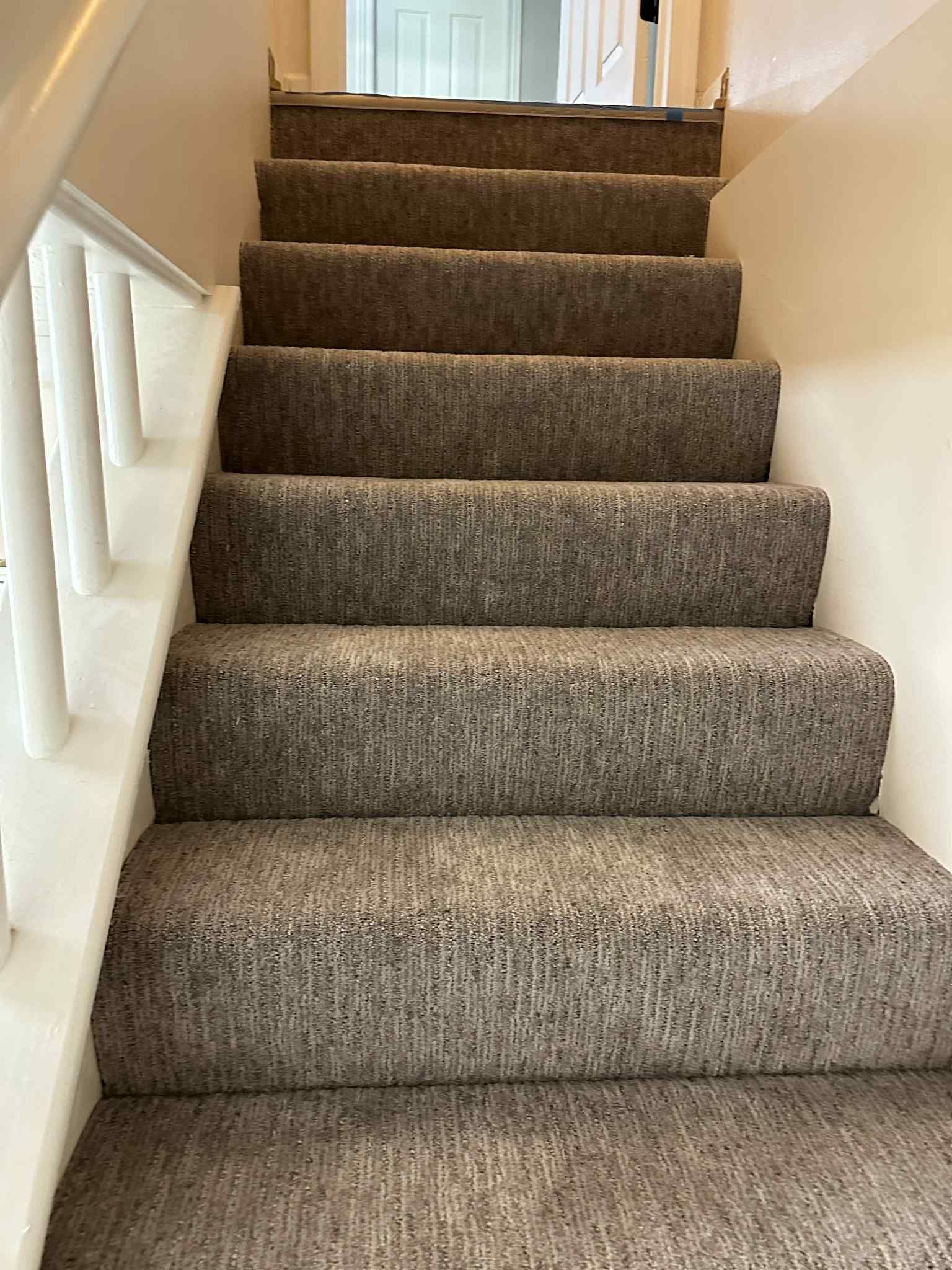 Carpeted staircase with white banister, ascending to a door.