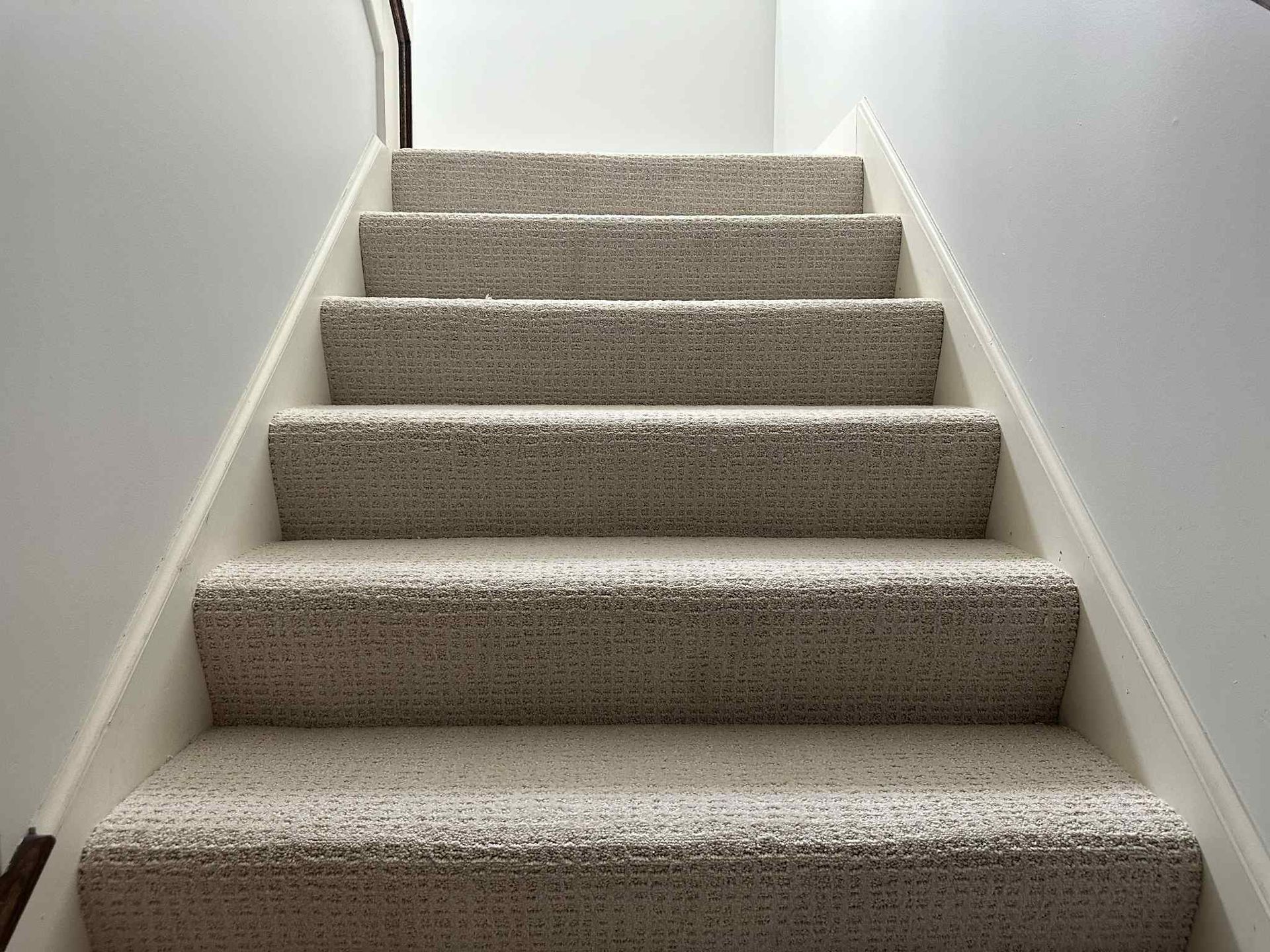 Staircase with light gray speckled carpet and white risers and trim, leading upwards.
