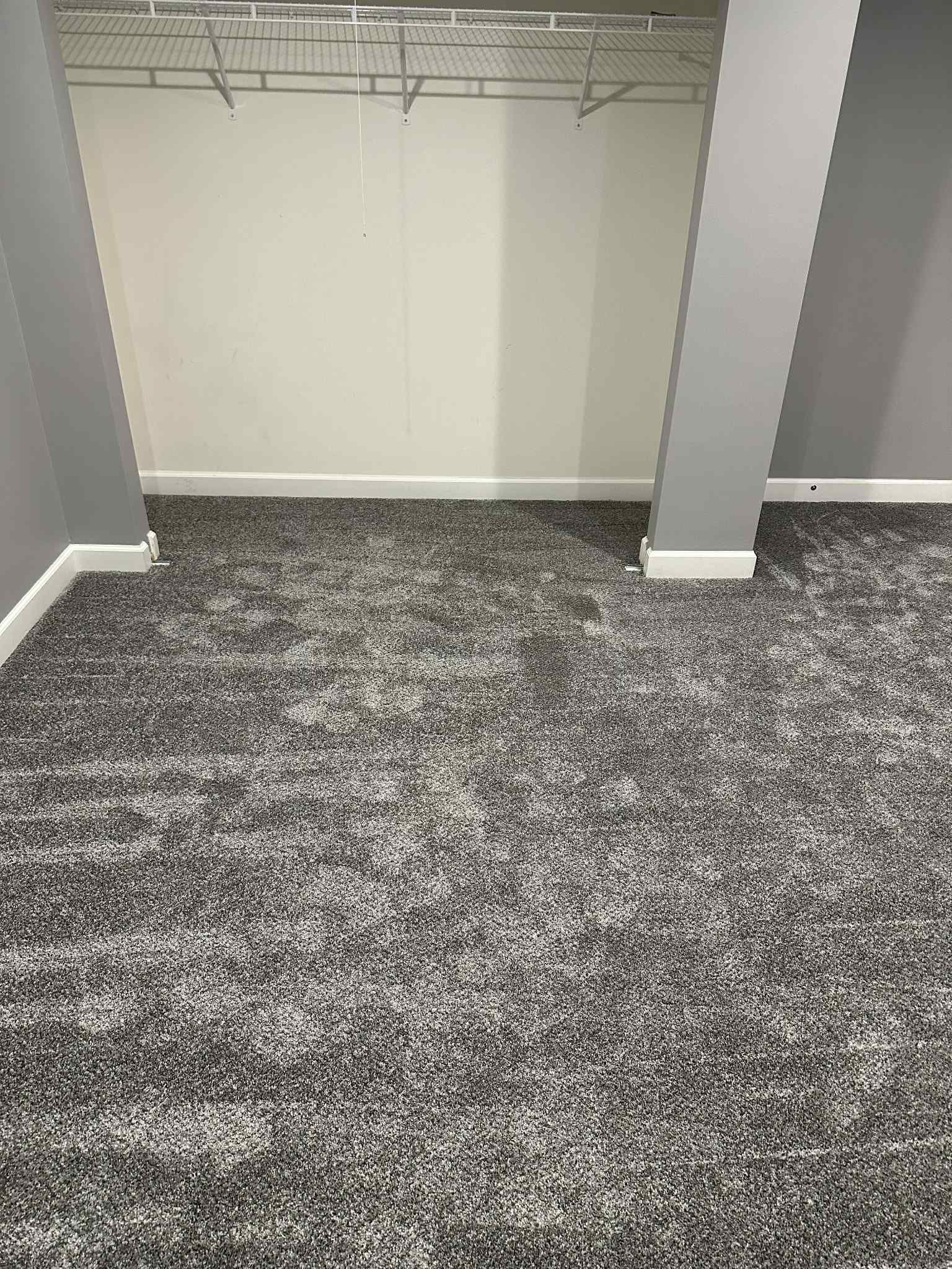 Room with gray shag carpet, a white closet, and gray support pillars.