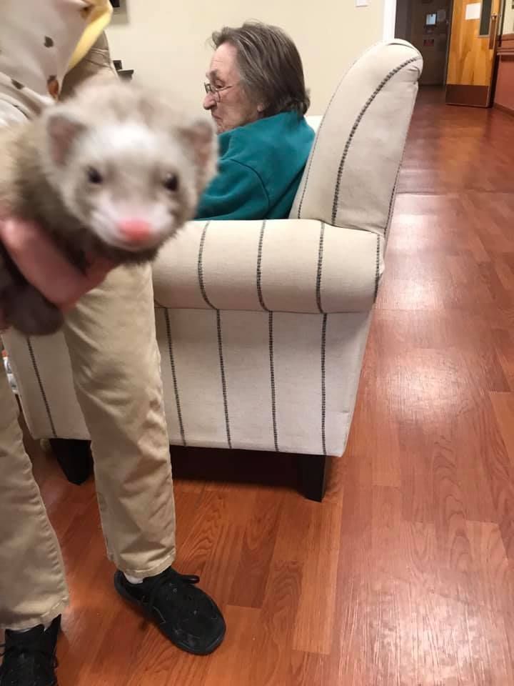 Person holding ferret near a seated woman in a room with hardwood floors.