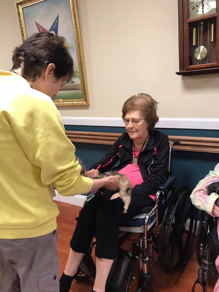 Woman in wheelchair petting a kitten, assisted by another person. Indoor setting, light colors.