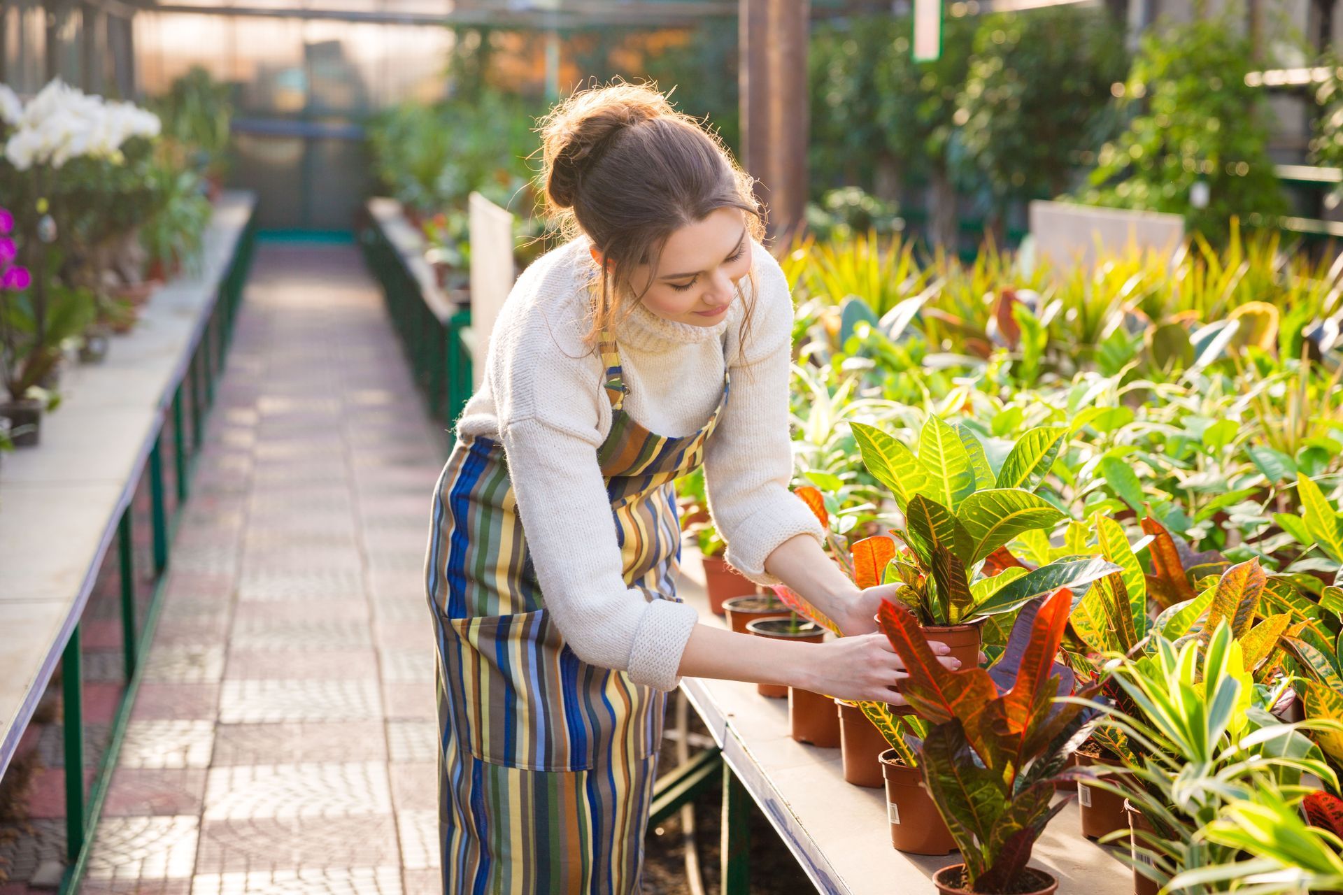 How Do Plant Nurseries Benefit Lawn Maintenance?
