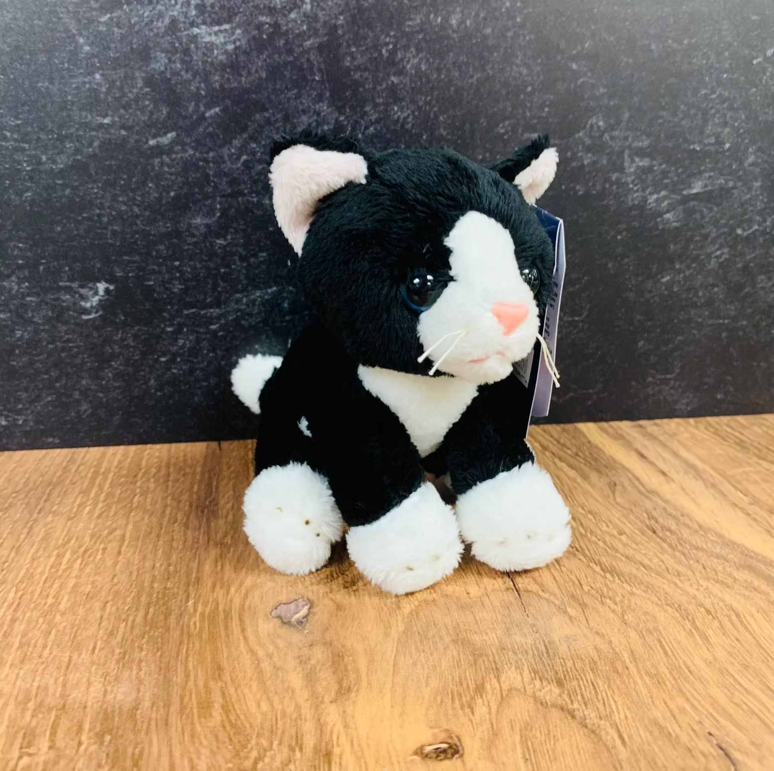 Plush black and white tuxedo cat on a wooden surface, against a dark, textured background.