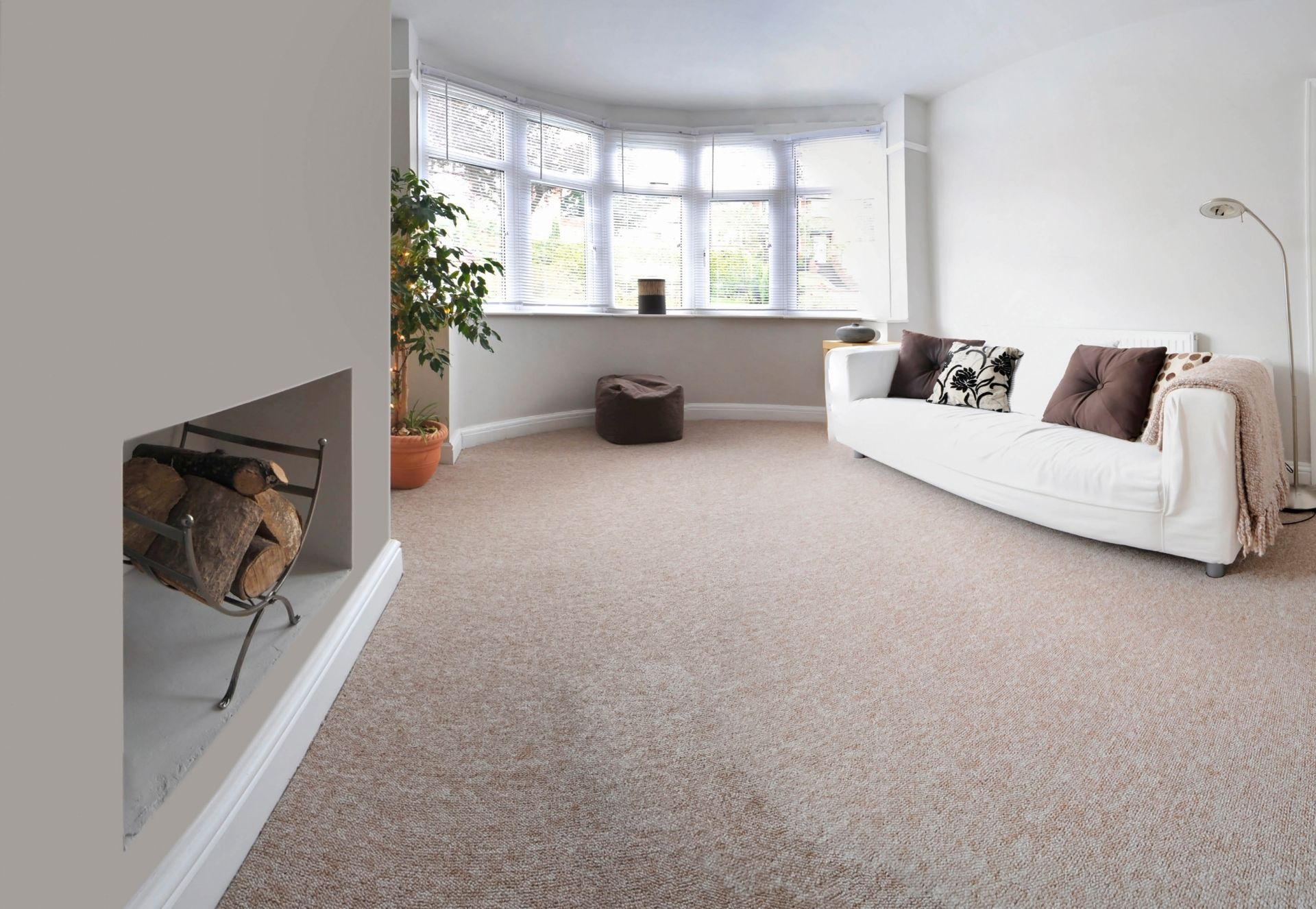 carpet store