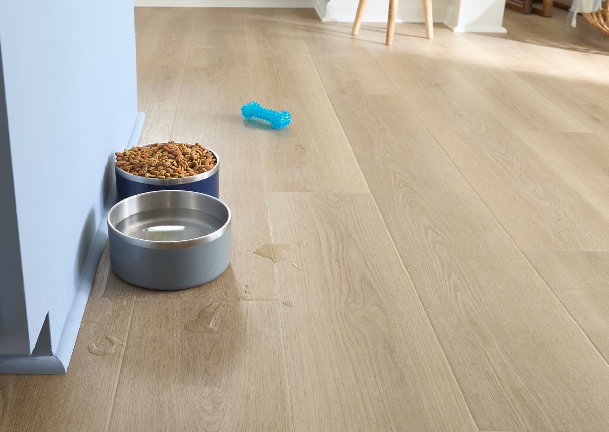 Dog food and water bowls on light wood floor next to blue wall, with a blue toy in the background.