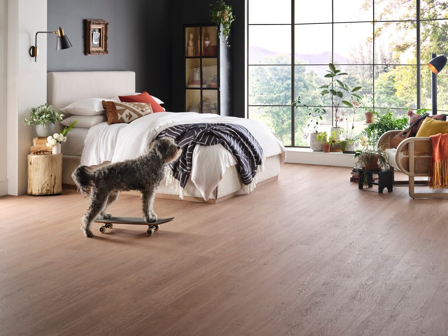 Dog on skateboard in a bedroom, near bed and window with plants. Neutral-tone wood floor.
