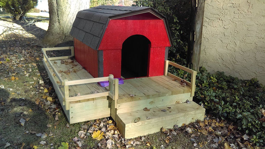 Dog House