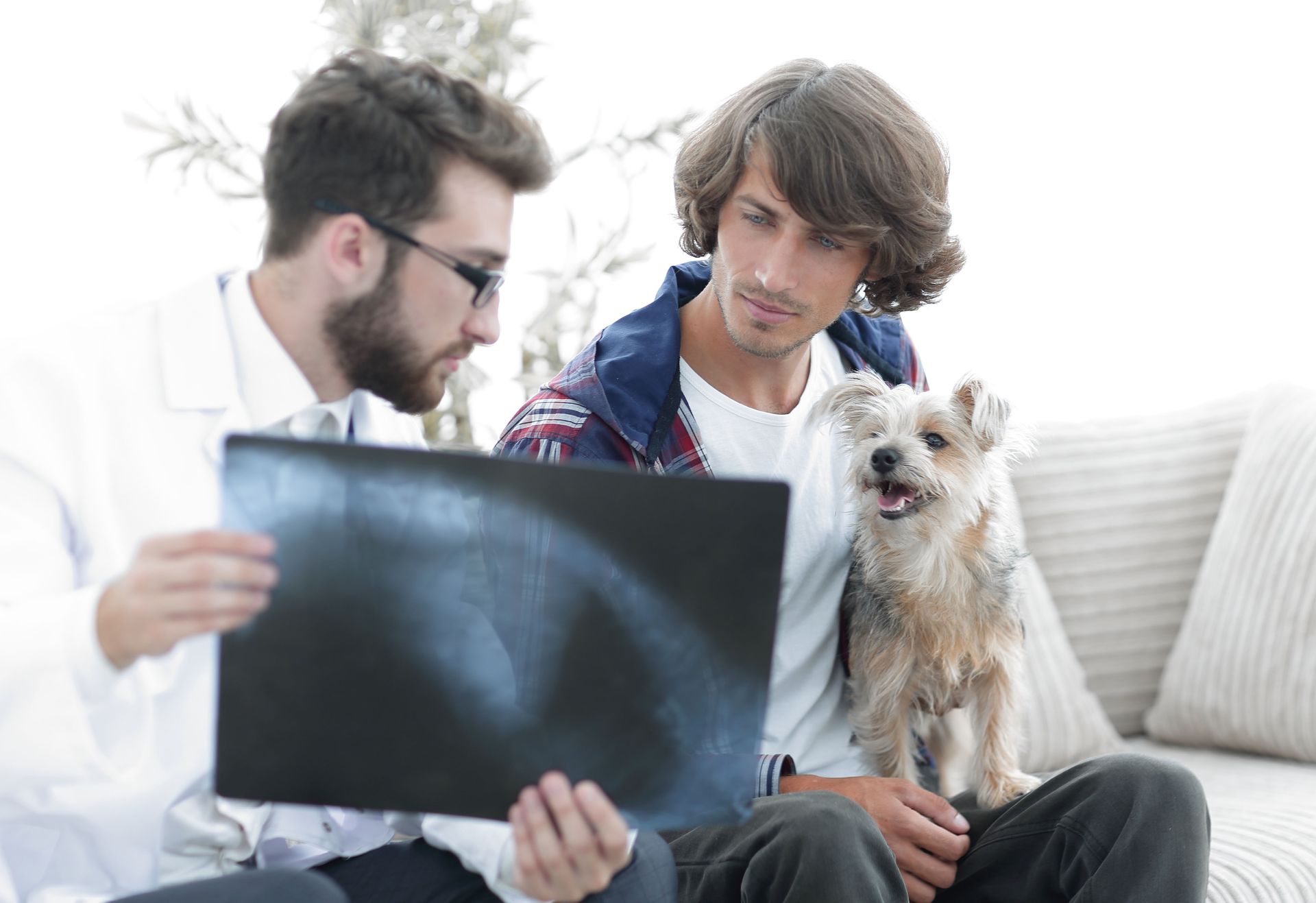 Inside Modern Pet Hospitals: Advanced Technology That’s Saving Animal Lives