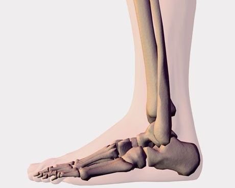 Podiatry Services
