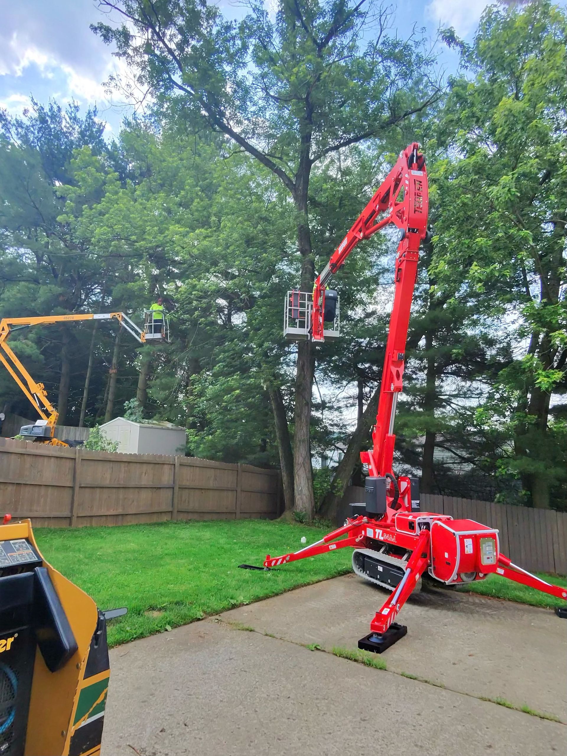 A person is cutting a tree branch with a pair of scissors.
