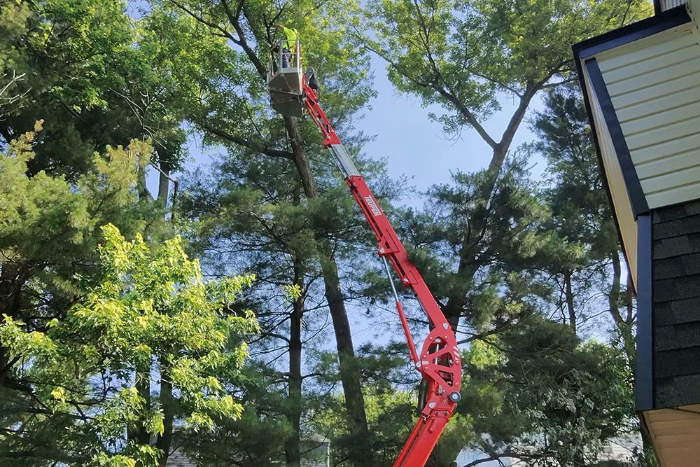 Red aerial lift trimming tree near a house.