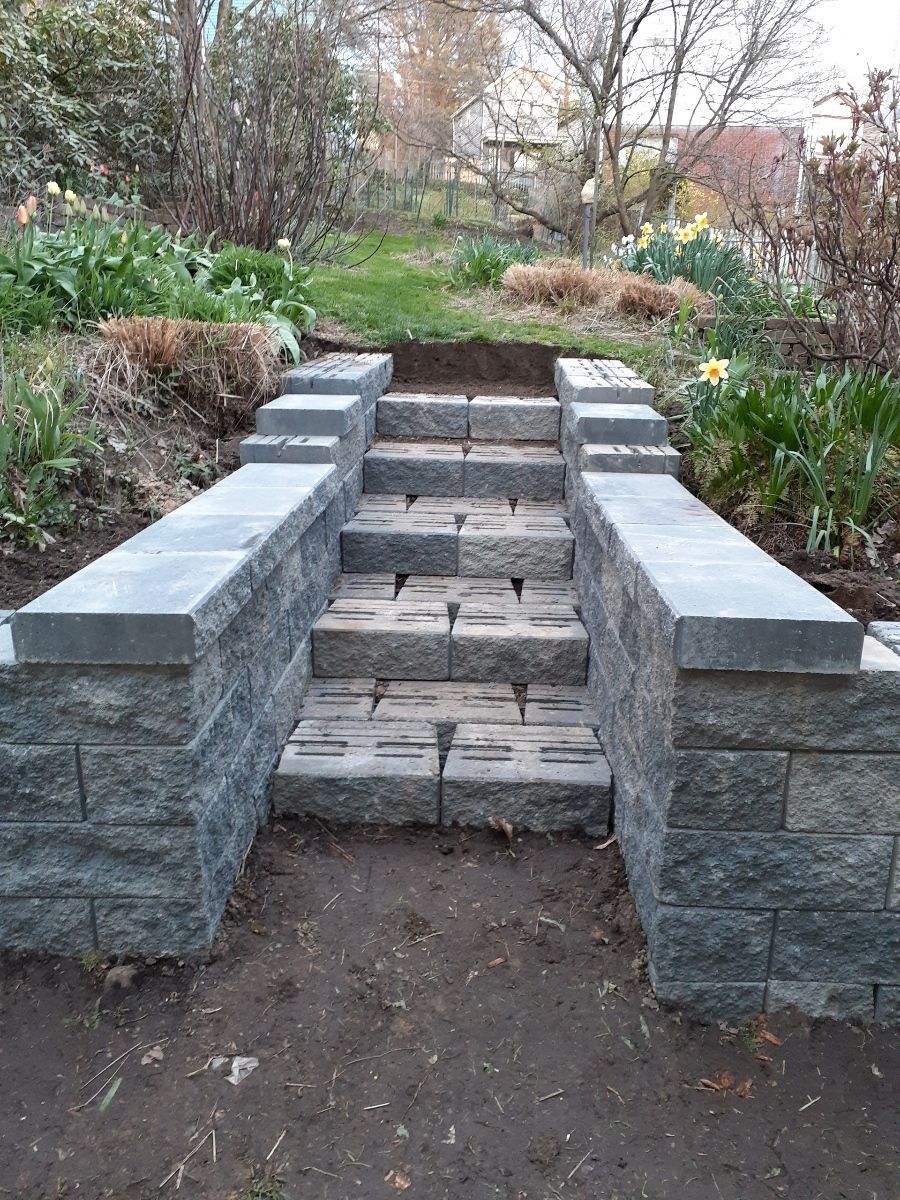 Stone steps with gray retaining walls leading up a garden path surrounded by plants and shrubs