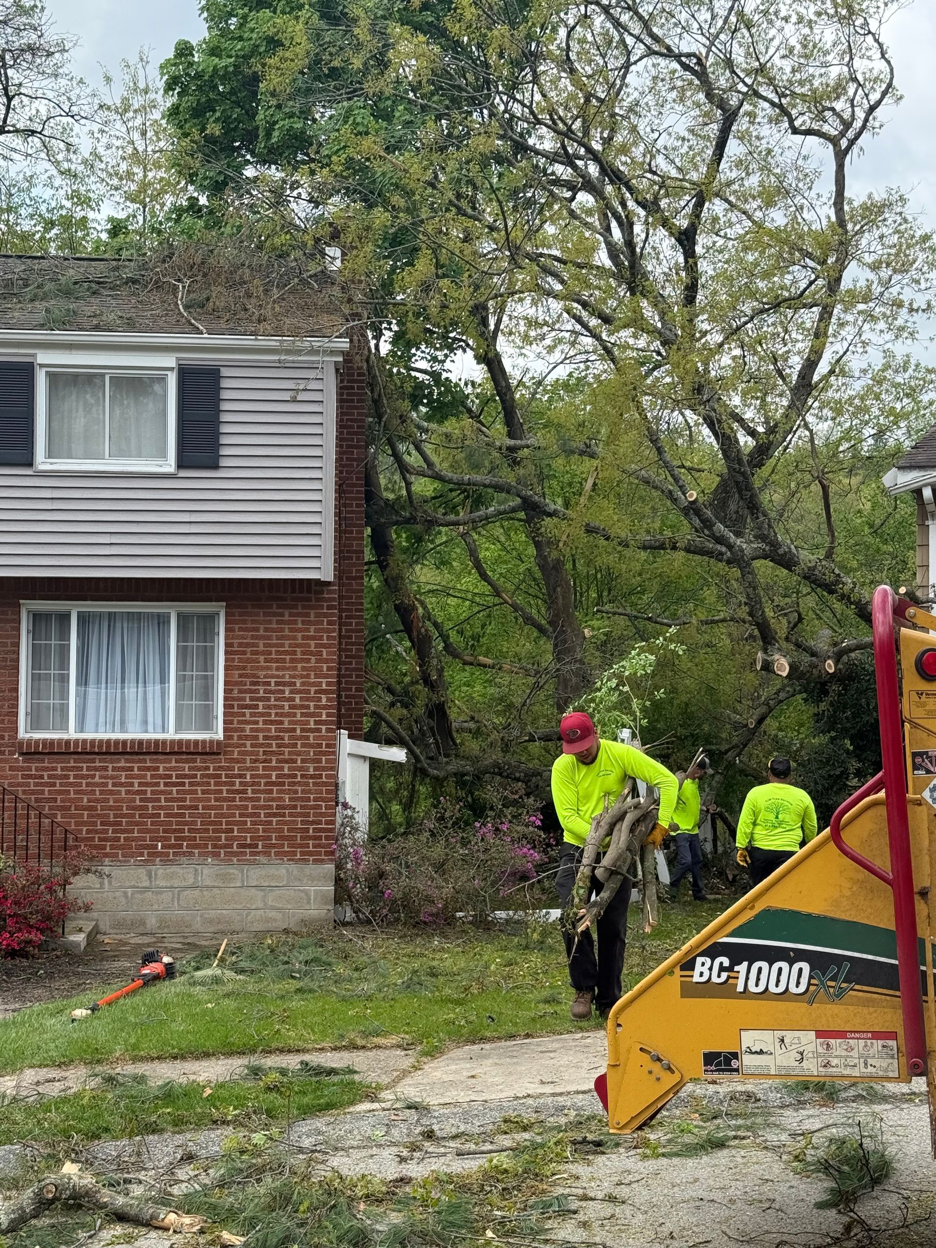 A group of men are cutting down a tree in front of a house.