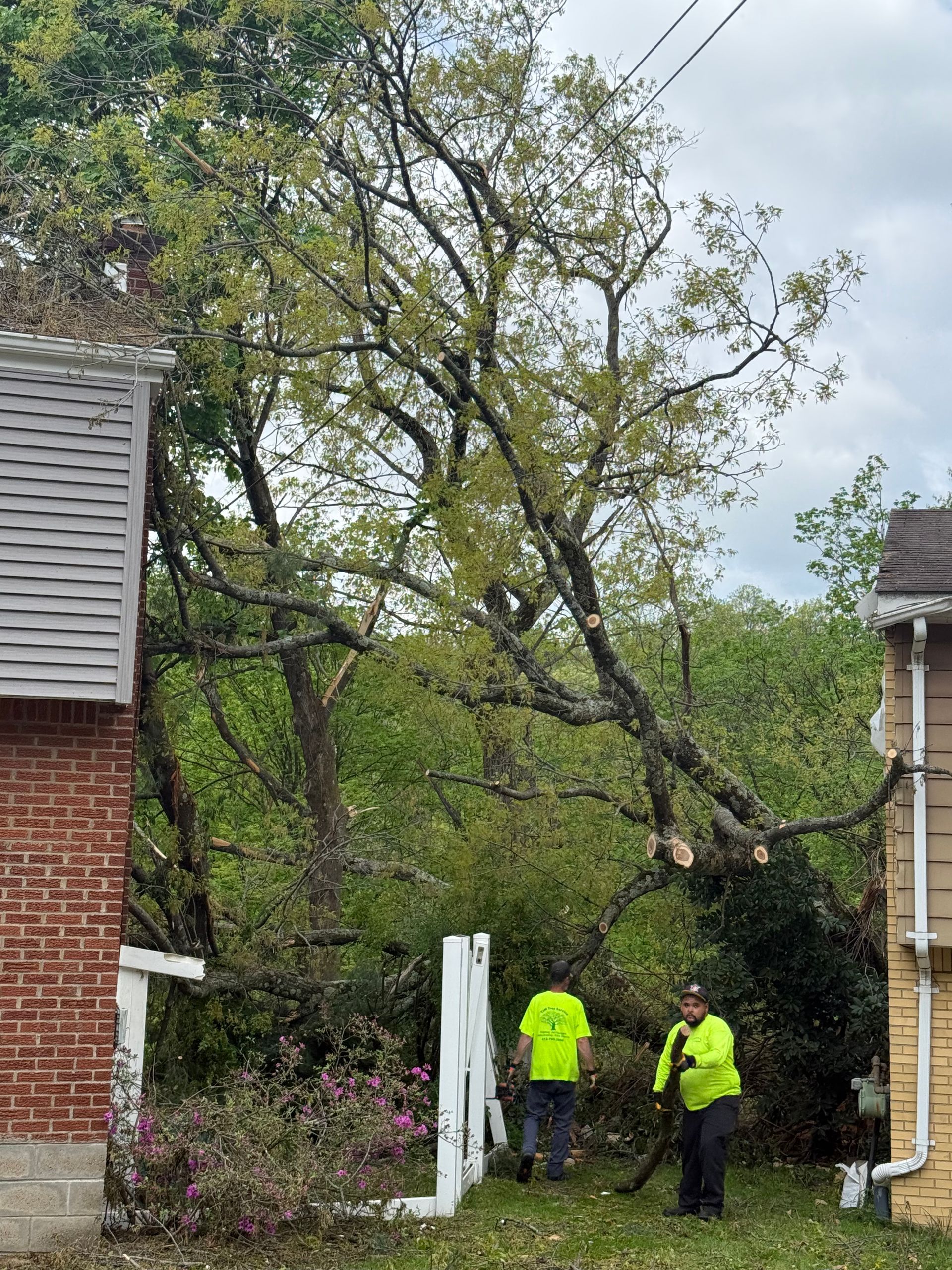 Two men are standing next to a fallen tree in front of a house.