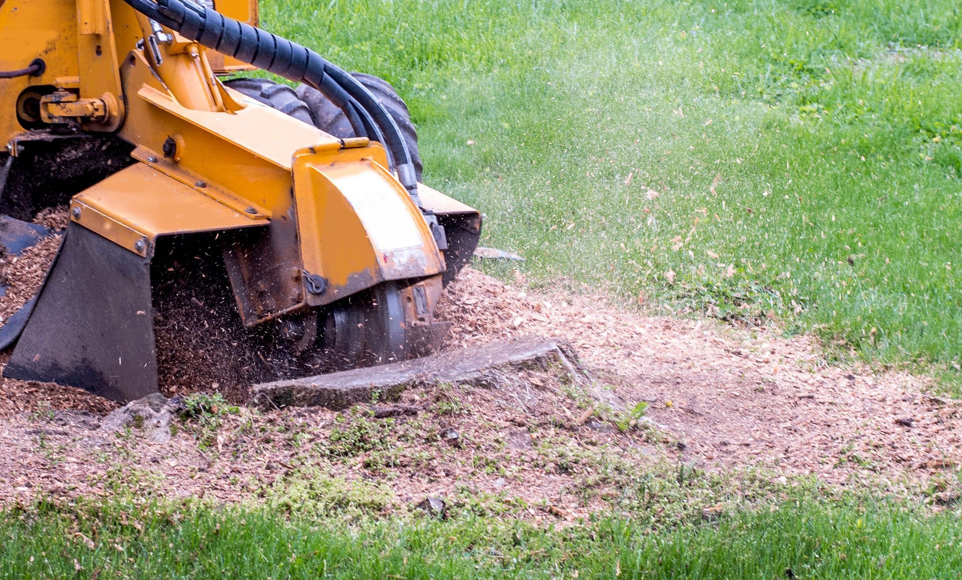 A yellow stump grinder is cutting a tree stump in the grass.