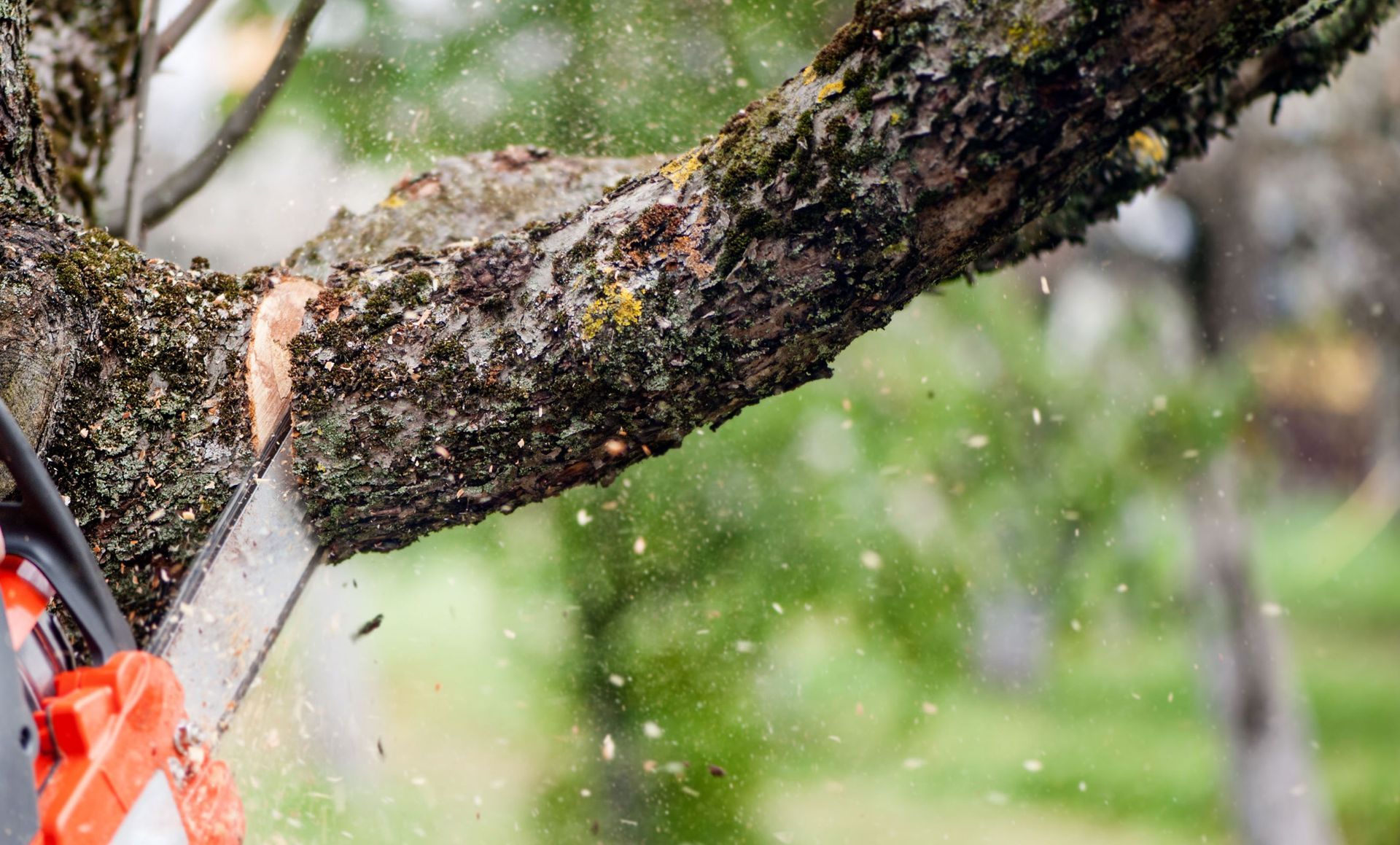 A person is cutting a tree branch with a chainsaw.