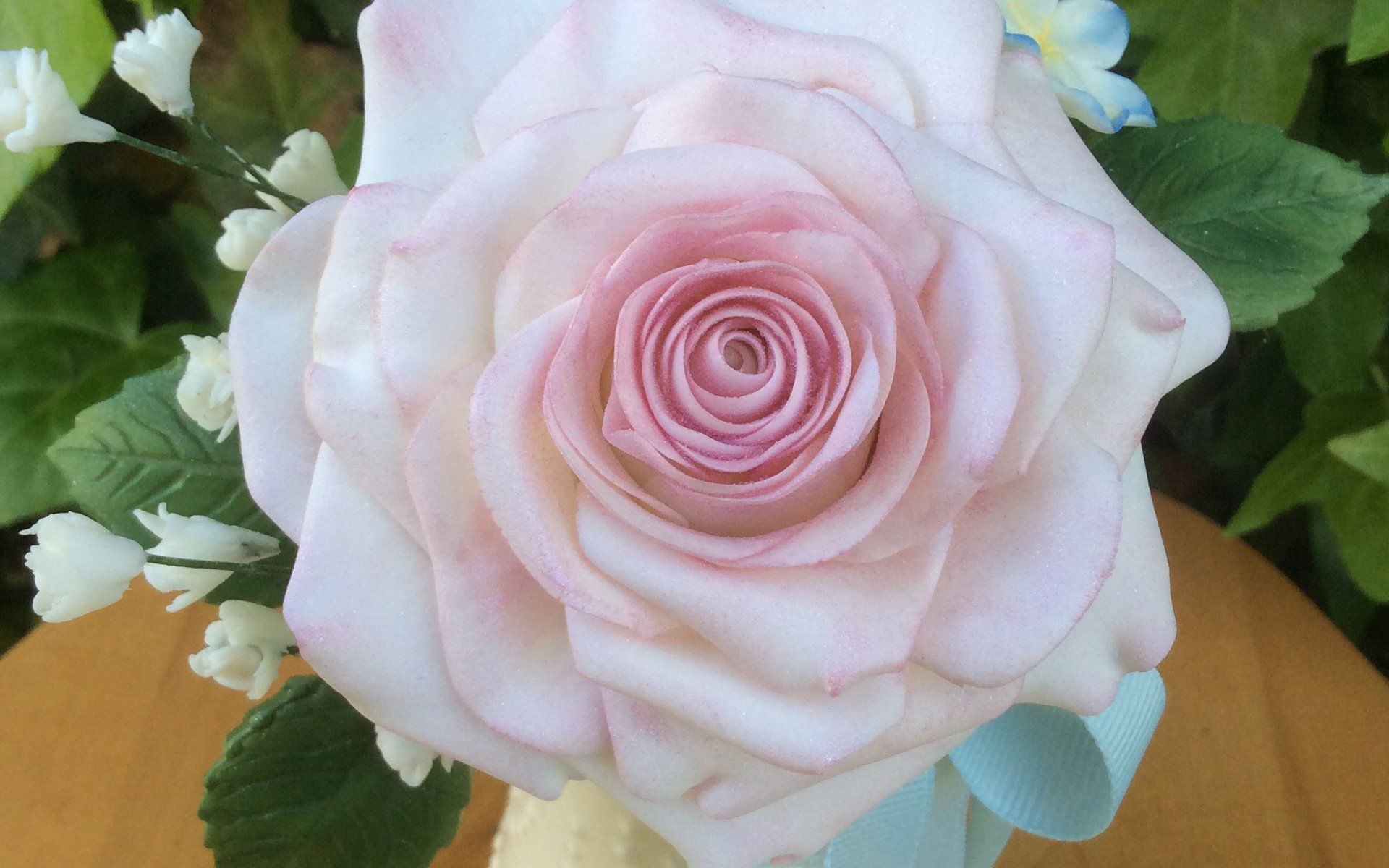 Pink Sugar rose