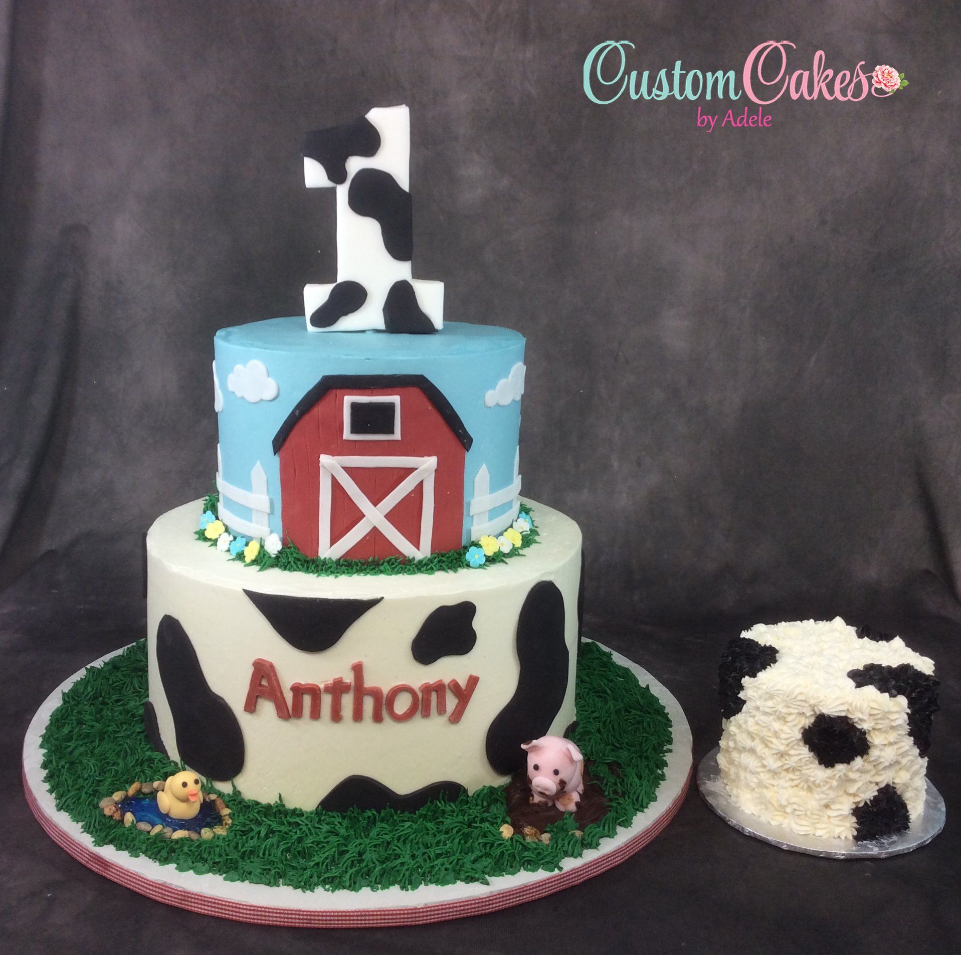 Celebration Cakes 