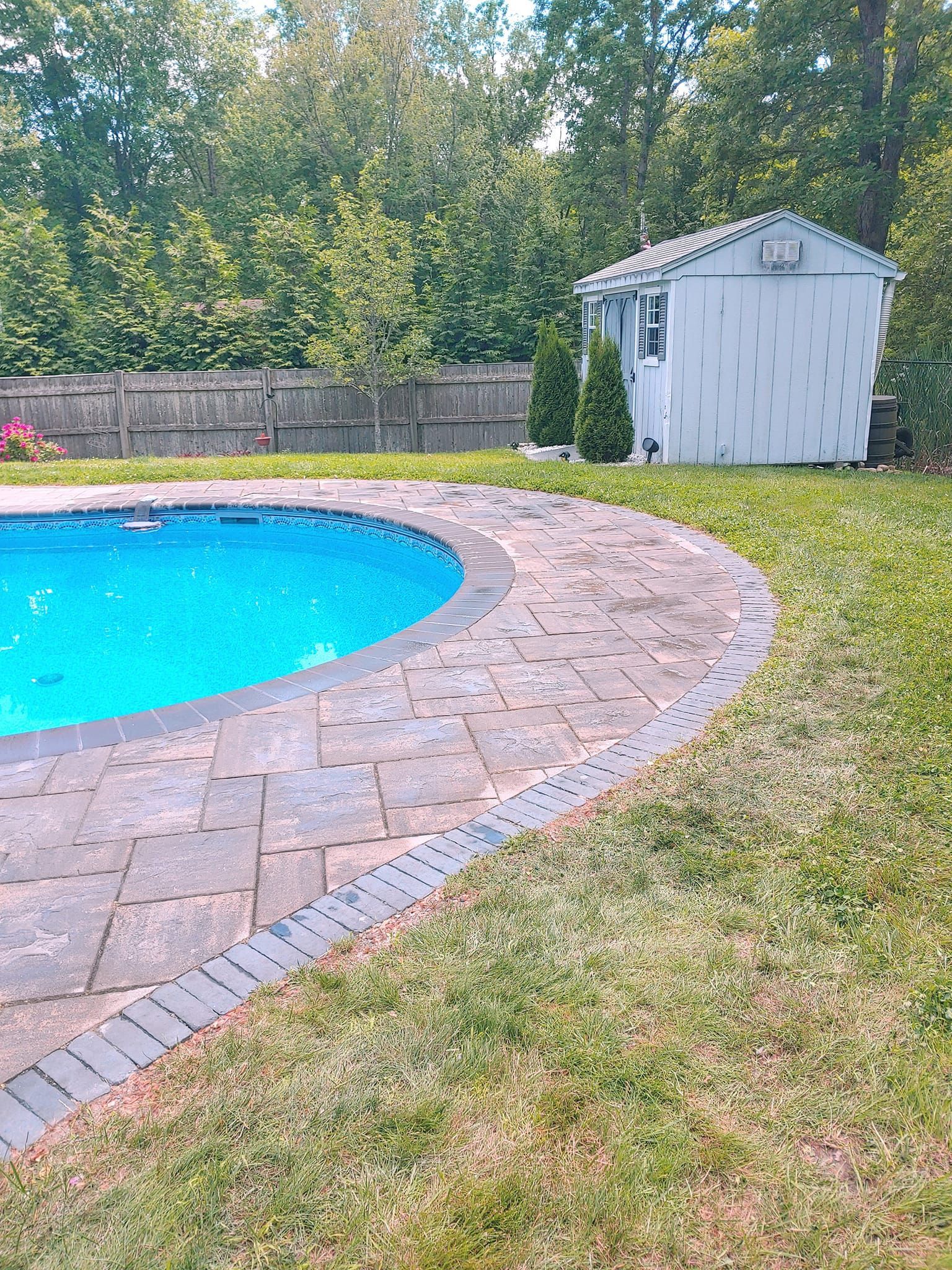 There is a swimming pool in the backyard with a shed in the background.