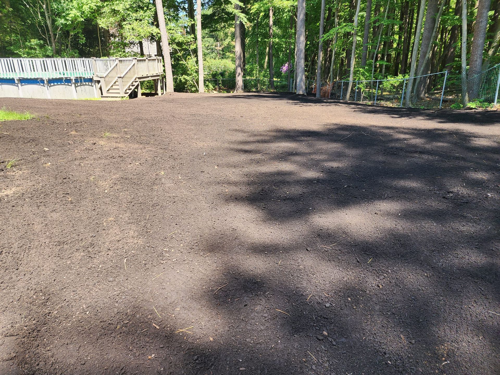 There is a lot of dirt in the middle of the woods.