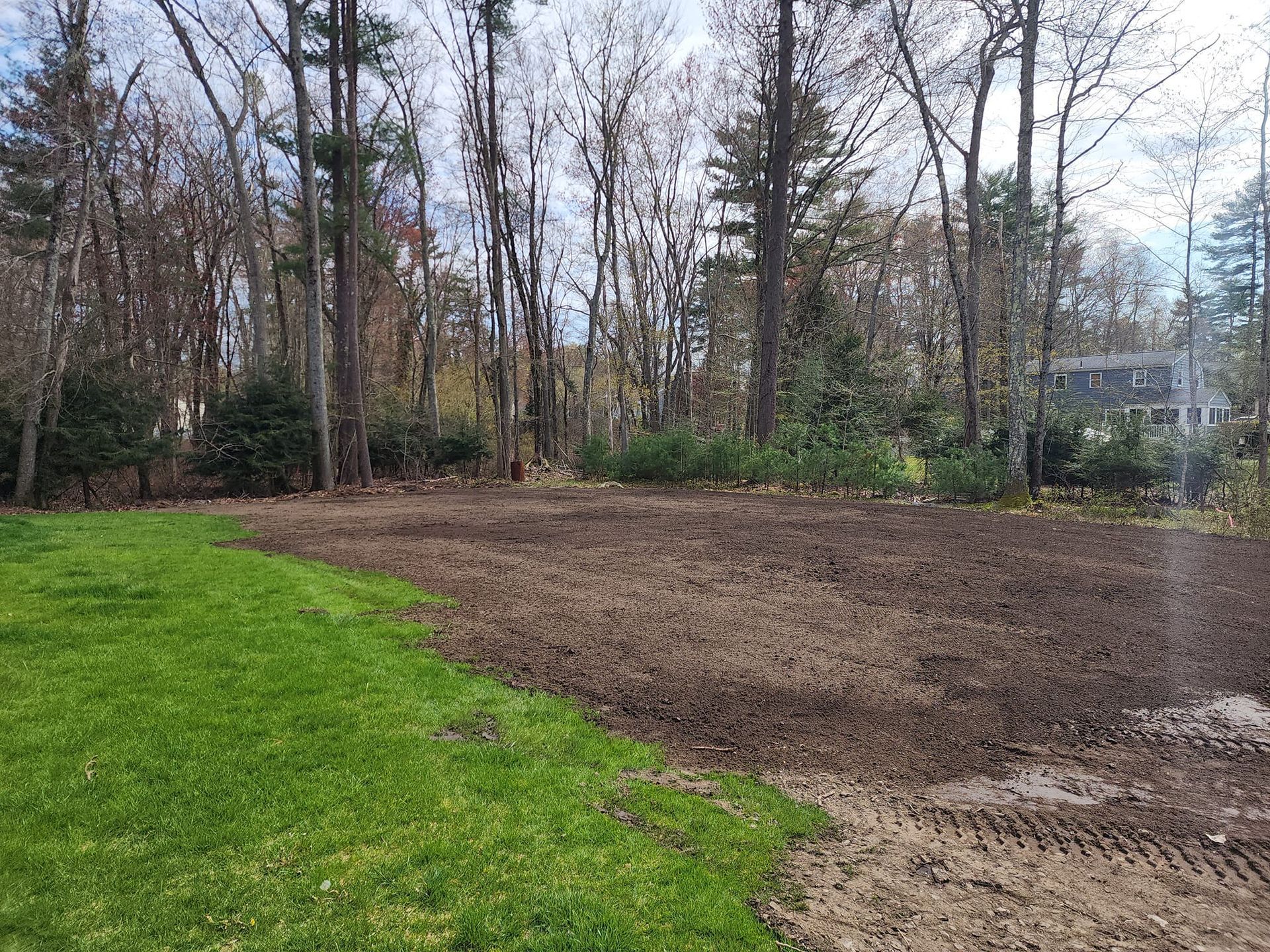 A lush green field with trees in the background and a dirt road in the foreground.