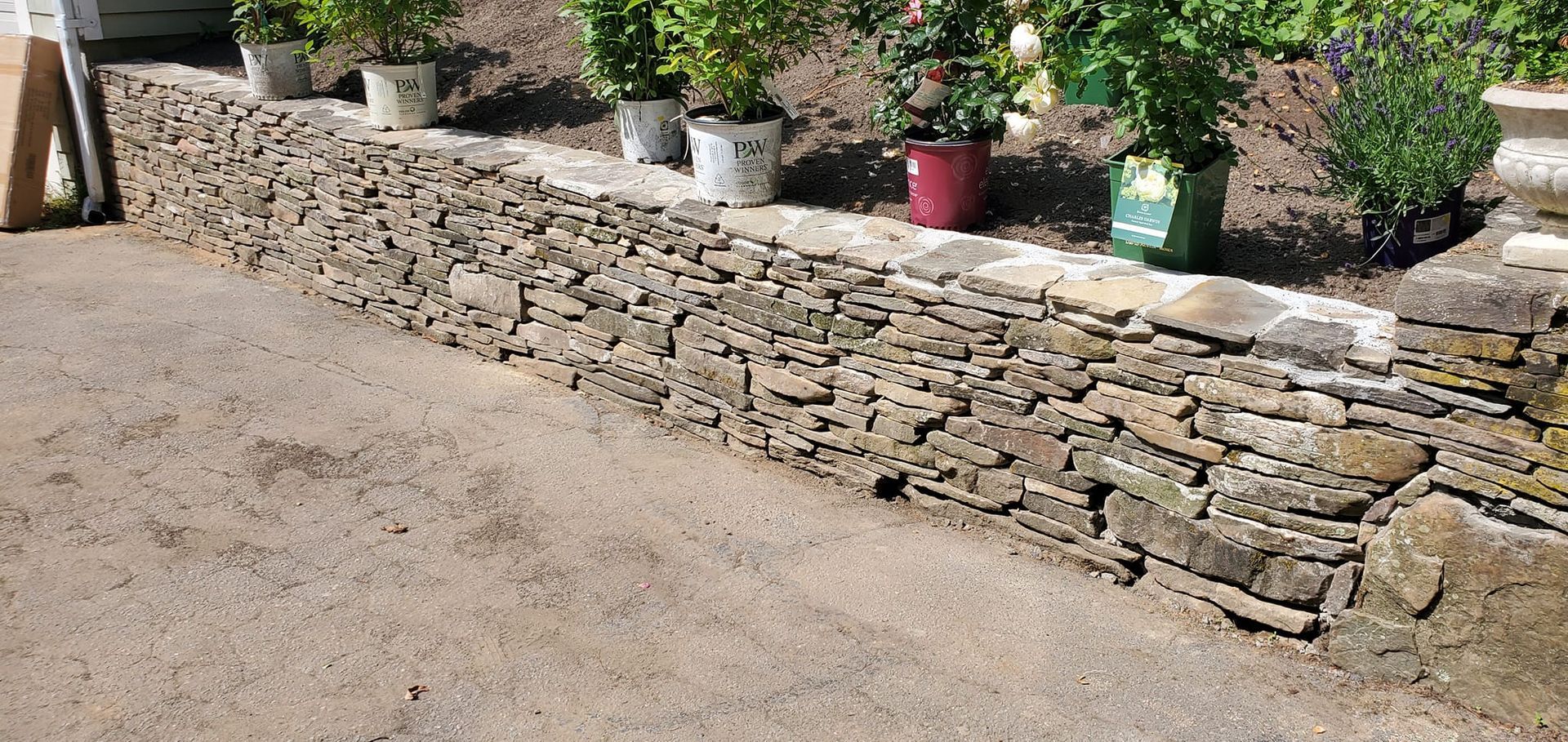 A stone wall with potted plants growing on it.