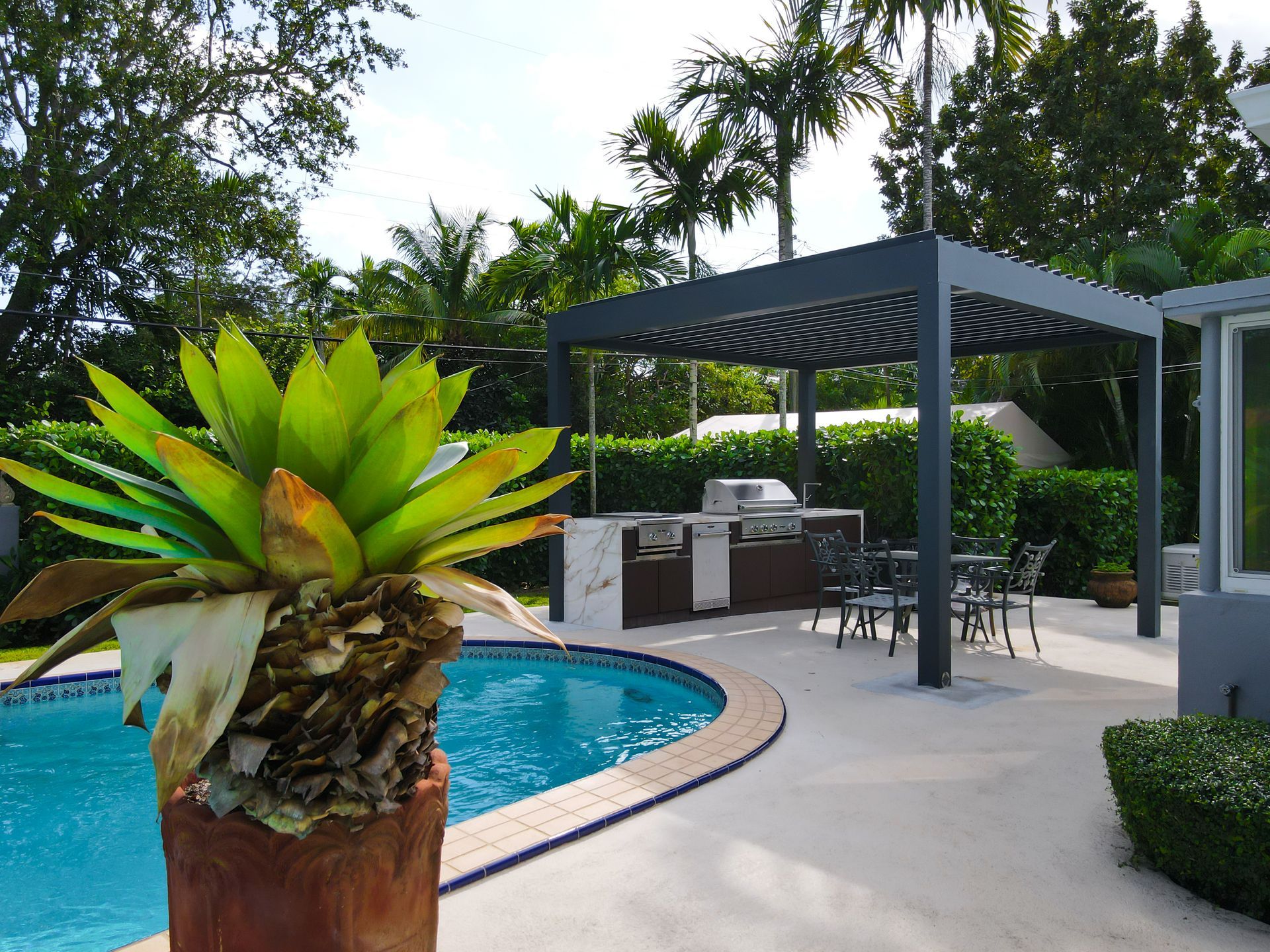 A potted plant is in front of a swimming pool