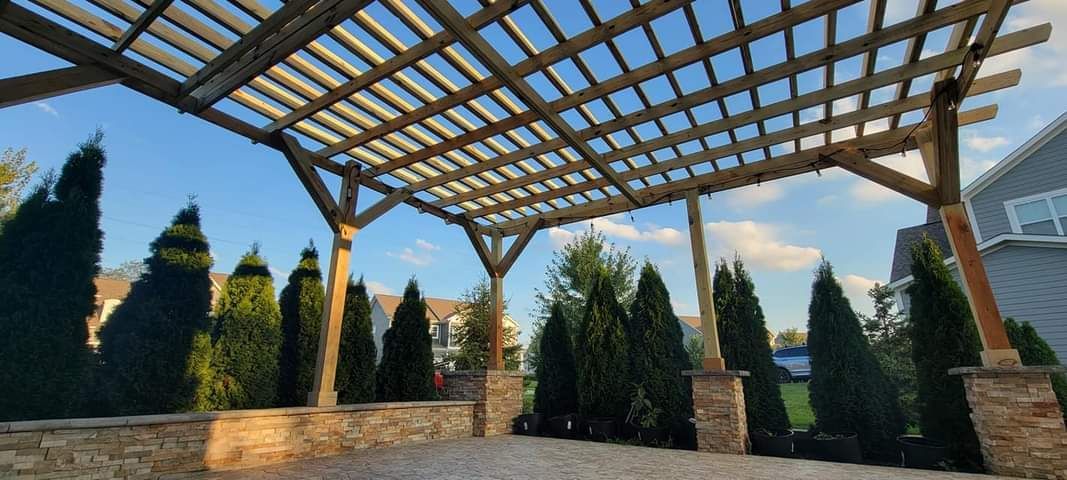 A wooden pergola is surrounded by trees in a backyard.